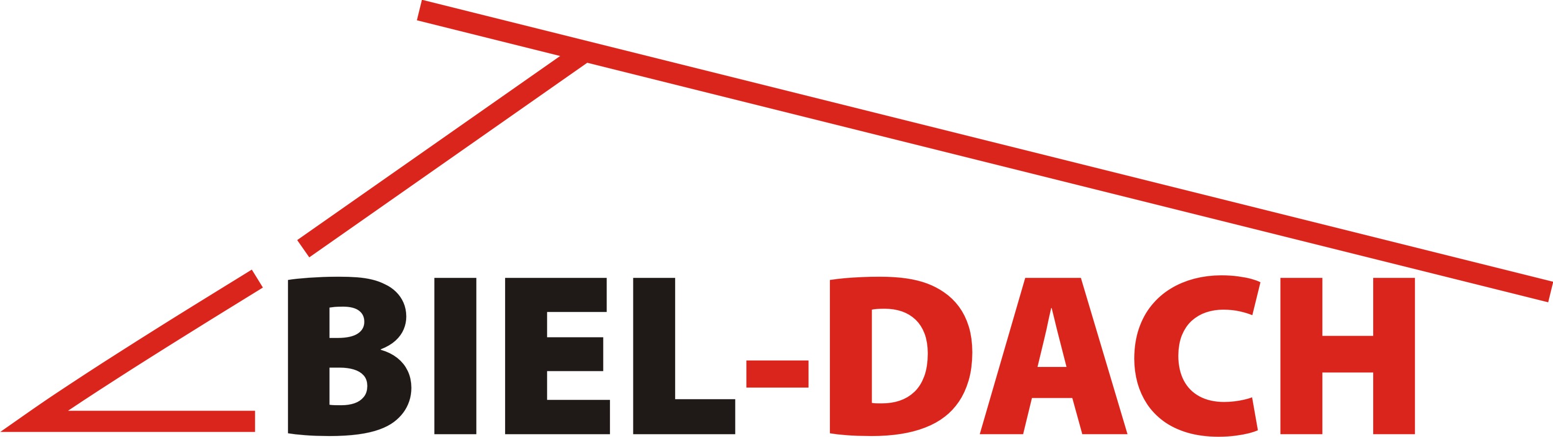 BIEL DACH
